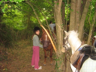 balade avec le centre equestre